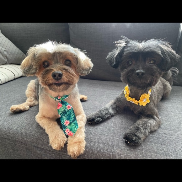 Meet your Posher, Maria - Picture 5 of 16